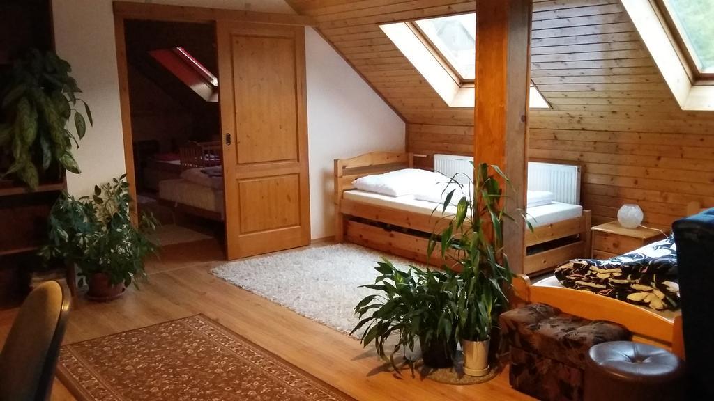 Apartment Rychtrovna Hejnice Ngoại thất bức ảnh